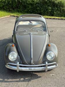 Image 12/48 of Volkswagen Beetle 1200 Export &quot;Dickholmer&quot; (1963)