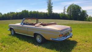 Image 37/38 of Mercedes-Benz 280 SE 3,5 (1969)