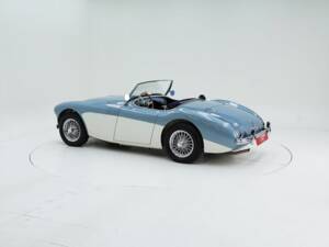 Imagen 4/15 de Austin-Healey 100/4 (BN1) (1954)