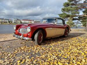 Immagine 7/23 di Austin-Healey 3000 Mk II (BJ7) (1964)