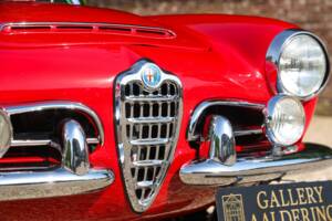 Bild 42/50 von Alfa Romeo Giulia 1600 Spider Veloce (1965)
