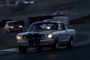 Afbeelding 5/48 van Ford Shelby GT 350 (1965)