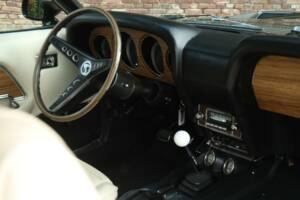 Image 32/50 of Ford Shelby GT 500 (1969)