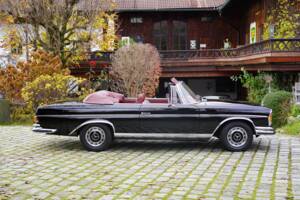 Afbeelding 3/14 van Mercedes-Benz 280 SE 3,5 (1970)