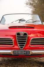 Image 19/33 de Alfa Romeo 2600 Spider (1964)