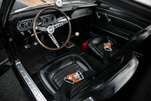 Image 2/38 of Ford Shelby GT 350H (1966)