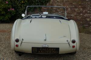 Image 6/50 de Austin-Healey 100/4 (BN1) (1953)