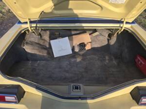 Afbeelding 12/16 van Lincoln Continental Mark IV (1974)