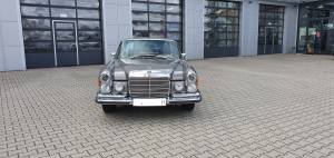 Bild 5/50 von Mercedes-Benz 280 SE 3,5 (1971)