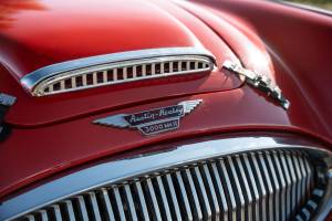 Bild 10/18 von Austin-Healey 3000 Mk II (BJ7) (1962)