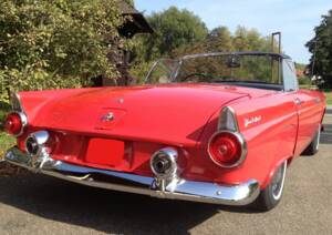 Image 3/8 of Ford Thunderbird (1955)