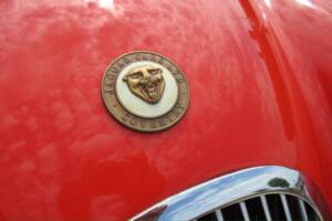 Bild 12/45 von Jaguar XK 120 SE OTS (1954)