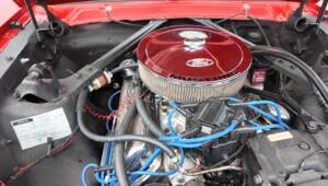 Bild 6/11 von Ford Mustang 289 (1965)