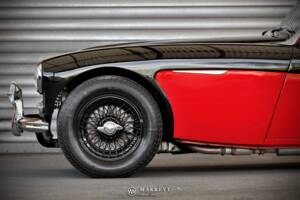 Immagine 25/68 di Austin-Healey 3000 Mk I (BT7) (1959)