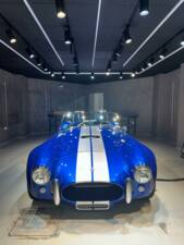 Afbeelding 9/18 van AC Cobra (2011)