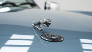 Image 13/15 of Jaguar XJS 5.3 V12 (1990)