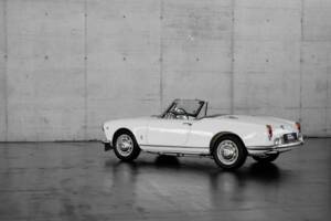 Afbeelding 9/48 van Alfa Romeo Giulia 1600 Spider (1963)