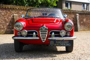 Bild 12/50 von Alfa Romeo Giulia 1600 Spider Veloce (1965)