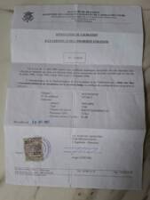 Image 15/20 of Triumph DUMMY (1993)