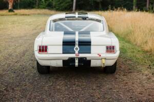 Imagen 4/19 de Ford Shelby GT 350 (1965)