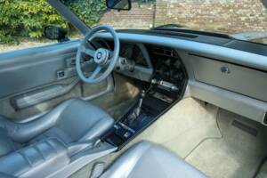 Image 16/50 of Chevrolet Corvette Indy Pace Car (1978)