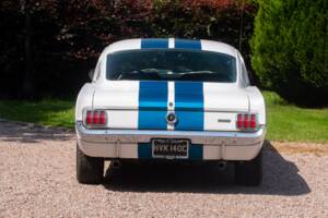 Bild 12/50 von Ford Shelby GT 350 (1965)