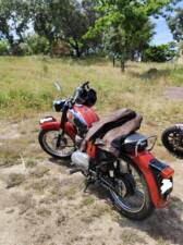 Image 4/51 of BSA B 44 (1966)
