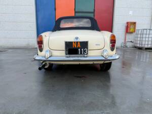 Bild 14/100 von Alfa Romeo Giulia 1600 Spider (1962)