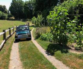 Bild 13/13 von Rover Mini 1.3i (1994)