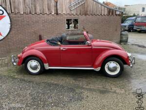 Bild 4/50 von Volkswagen Maggiolino 1500 (1967)