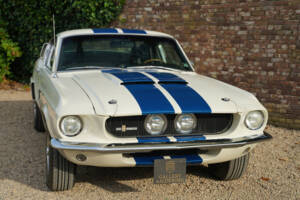 Bild 49/50 von Ford Shelby GT 500 (1967)