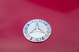 Immagine 22/50 di Mercedes-Benz SL 600 (1994)