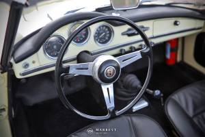 Image 39/49 of Alfa Romeo Giulia 1600 Spider (1964)
