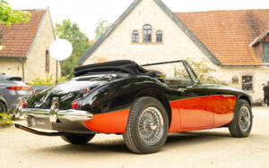 Bild 14/62 von Austin-Healey 3000 Mk III (BJ8) (1965)