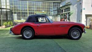 Imagen 48/53 de Austin-Healey 3000 Mk III (BJ8) (1965)