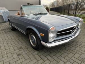 Immagine 14/50 di Mercedes-Benz 280 SL (1969)