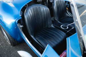 Image 36/68 of Shelby Cobra 289 (1966)