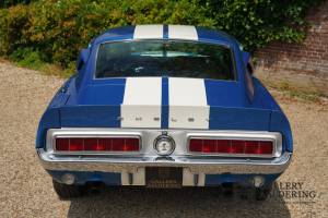 Bild 16/50 von Ford Shelby GT 500-KR (1968)
