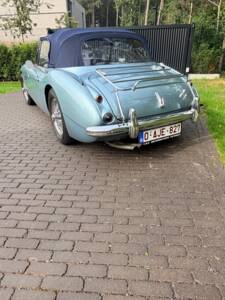 Afbeelding 9/21 van Austin-Healey 3000 Mk II (BJ7) (1963)