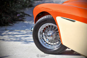 Bild 20/40 von Austin-Healey 3000 Mk I (BN7) (1959)
