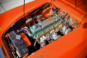Bild 15/40 von Austin-Healey 3000 Mk I (BN7) (1959)