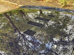 Image 13/42 of Bristol 411 Mk. V (1975)