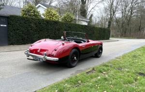 Immagine 16/17 di Austin-Healey 100&#x2F;6 (BN4) (1959)