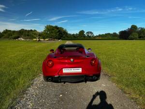 Bild 7/47 von Alfa Romeo 4C Spider (2015)