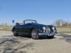 Image 5/48 of Jaguar XK 150 DHC (1960)
