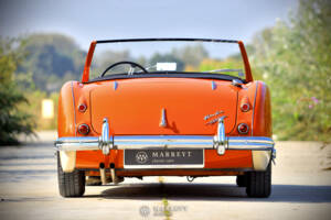 Bild 5/40 von Austin-Healey 3000 Mk I (BN7) (1959)