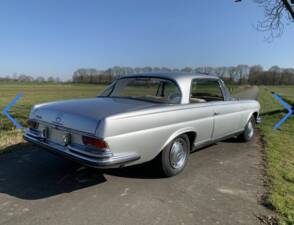 Bild 7/8 von Mercedes-Benz 220 SE b (1962)