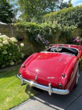 Bild 20/150 von Austin-Healey 100/4 (BN1) (1955)