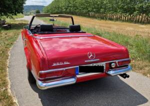 Afbeelding 11/14 van Mercedes-Benz 250 SL (1967)
