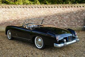 Image 22/50 of Nash-Healey Roadster (1953)